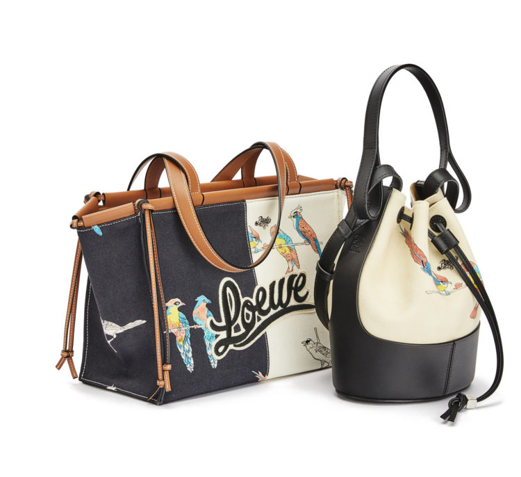 LOEWE PAULA
