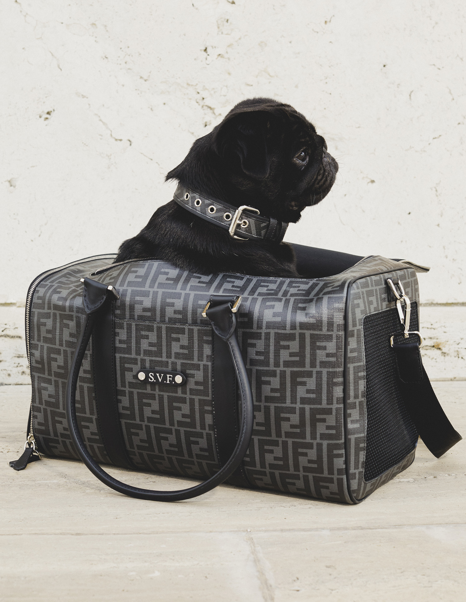 超高級ライン!【FENDI】チンチラFURバケットバック美品（専用袋付）◇ 14_FENDI-PETS-TRAVEL-LINE_LLF-