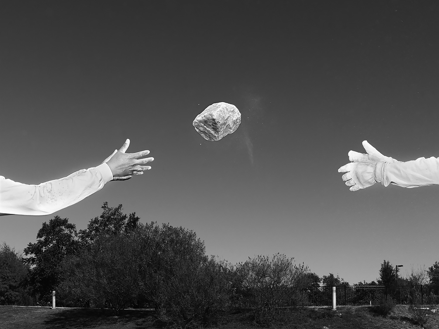 ALEC SOTH GATHERED LEAVES | SWAG HOMMES