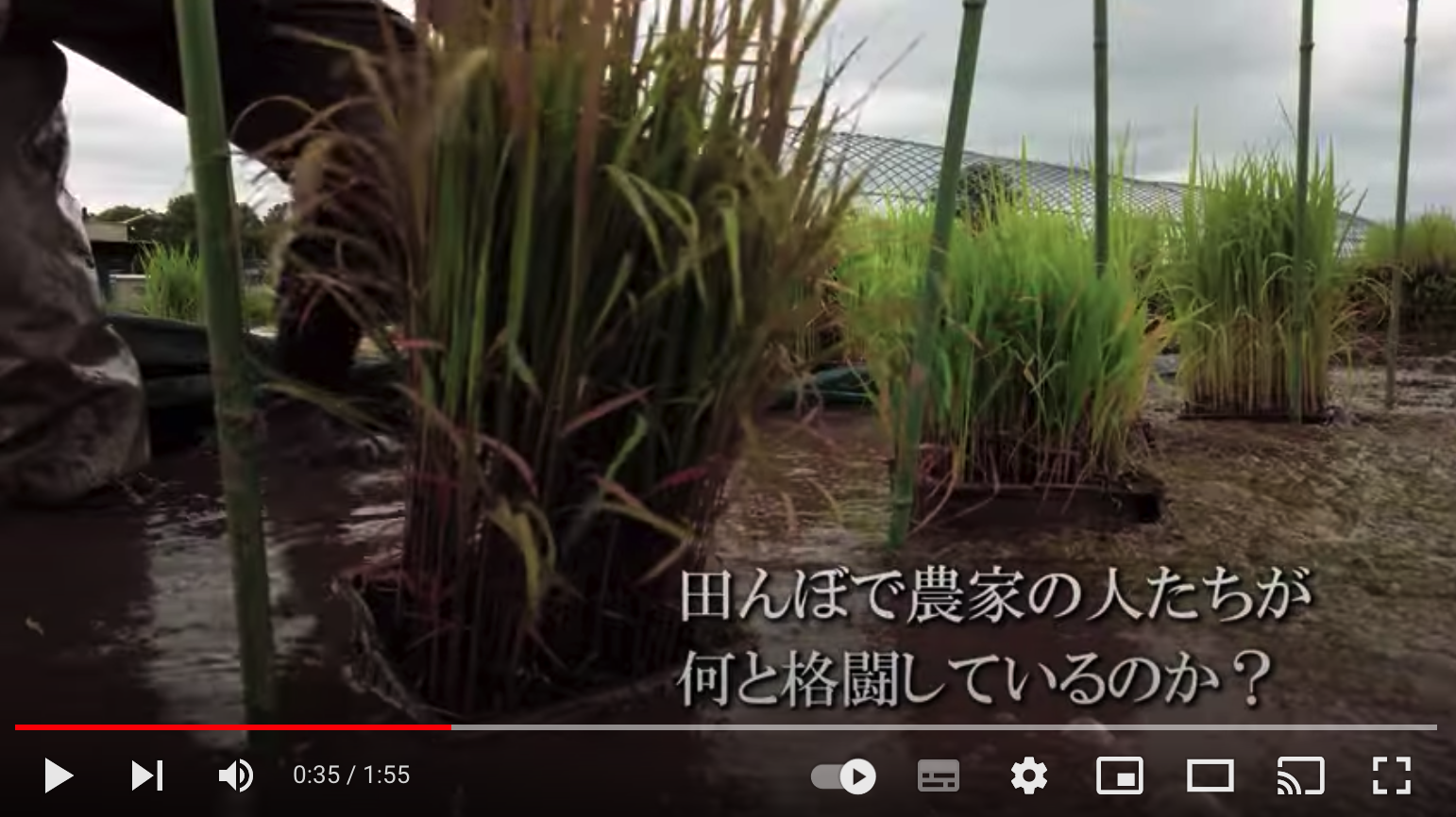 DOCUMENTARIES OF JAPANESE AGRICULTURE