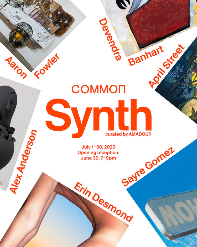｢SYNTH｣ Aaron Fowler, Alex Anderson, April Street, Devendra Banhart, Erin Desmond, Sayre Gomez Curated by AMADOUR